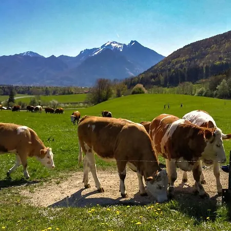 Appartamento Hoderhof Grassau (Bavaria)