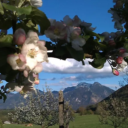 Appartamento Hoderhof *