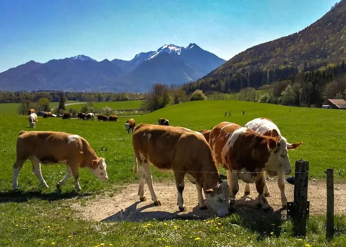 Apartamento Hoderhof Grassau (Bavaria)